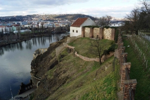 Praga: tour particular à fortaleza histórica de Vyšehrad