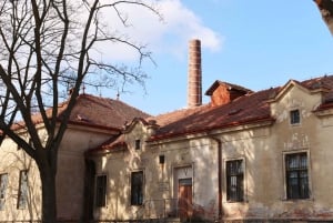 Prague: Psychiatric Hospital and Abandoned Cemetery Tour