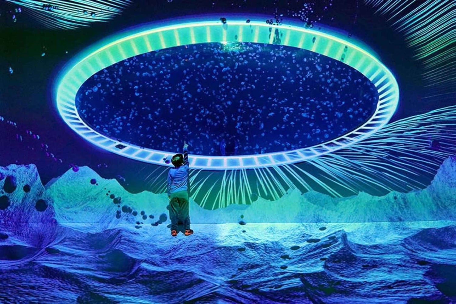 Praga: The World Of Jellyfish bilet wstępu z napojem