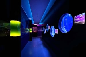 Praga: The World Of Jellyfish bilet wstępu z napojem