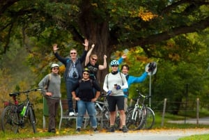 Coutryside e-bike tour to Karlstejn Castle
