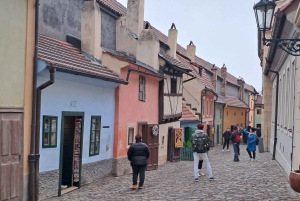 Praga: visita ao Castelo de Praga com bilhetes incluídos. Espanhol