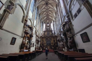 Prague: Unique Walking Tour with a Local Historian