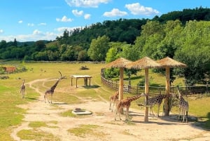 Prague: Prague Zoo Audio Guide with E-Ticket