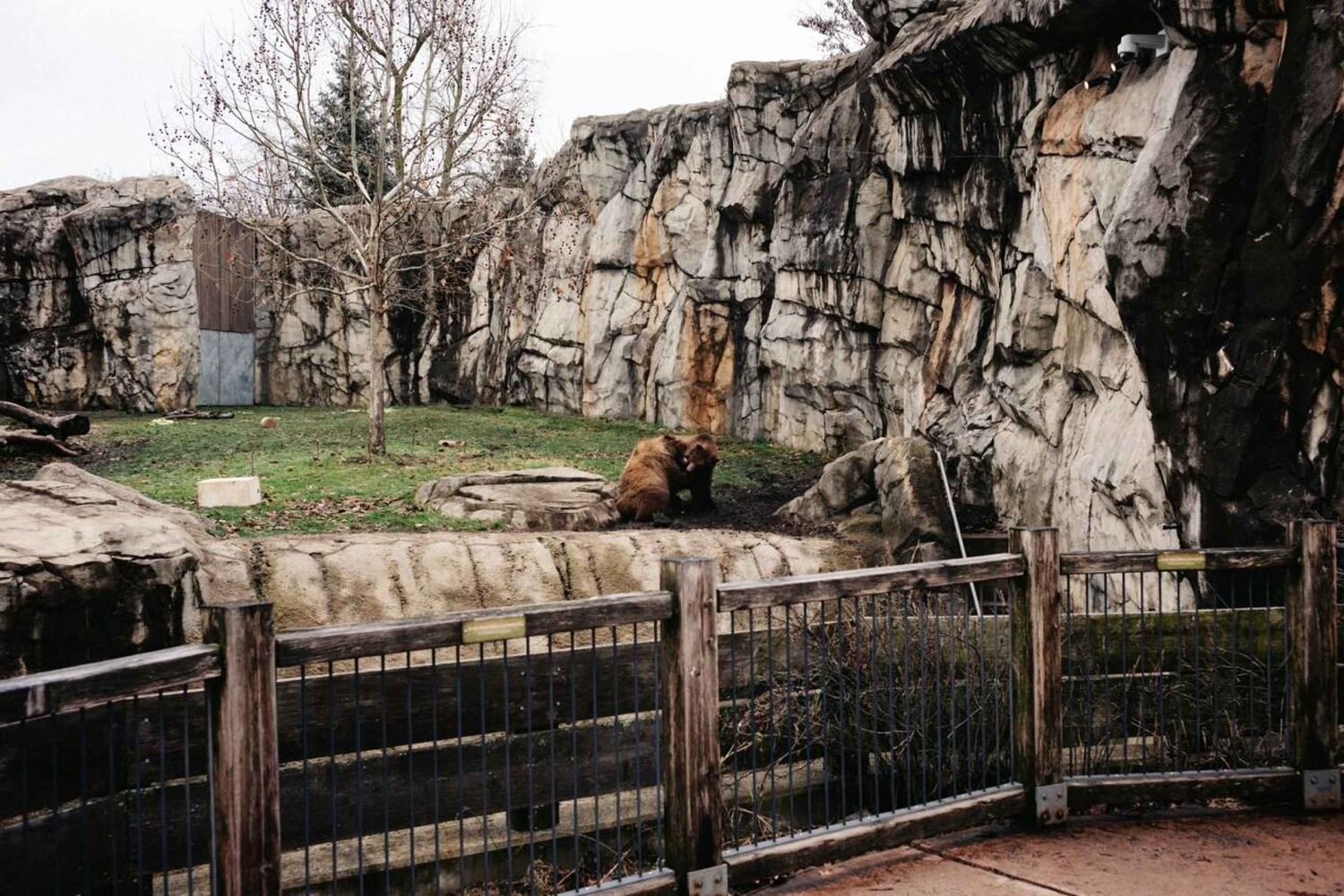 Prague : billet d'entrée au zoo avec audioguide et transfert
