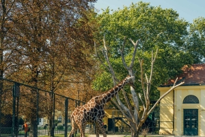 Prague : billet d'entrée au zoo avec audioguide et transfert