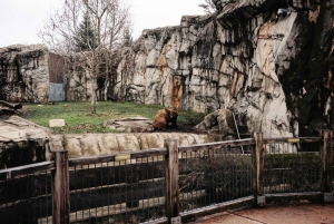 Prague : billet d'entrée au zoo avec audioguide et transfert