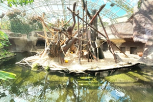 Guide audio en ligne du zoo de Prague (sans billet)