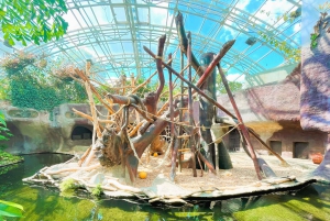 Guide audio en ligne du zoo de Prague (sans billet)