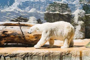 Guide audio en ligne du zoo de Prague (sans billet)