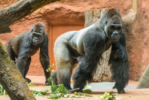 Guide audio en ligne du zoo de Prague (sans billet)