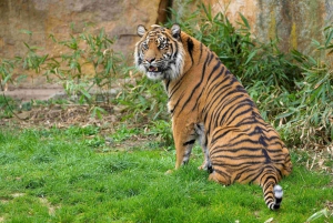 Zoo di Praga: Biglietto di ingresso prioritario