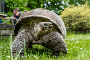 Zoo di Praga: Biglietto di ingresso prioritario