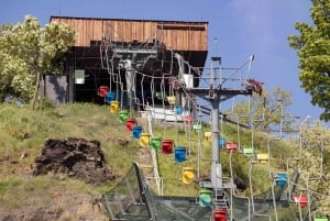 Prag Zoo Skip-the-line biljetter och privat transfer