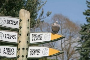 Prag Zoo Skip-the-line biljetter och privat transfer