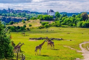 Prag Zoo Skip-the-line biljetter och privat transfer