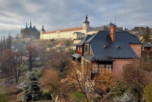 Private Guided Tour from Prague to UNESCO Kutna Hora
