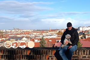 Vita reale a Praga - Facile passeggiata da Vysehrad a Vyton