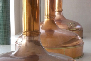 Regensburg: Privat transport til Prag + stop og billet