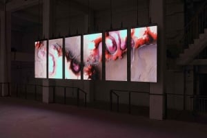 Signal Space digitale kunstgalerie toegangsbewijs