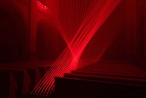 Signal Space digitale kunstgalerie toegangsbewijs