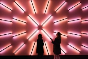 Signal Space digitale kunstgalerie toegangsbewijs