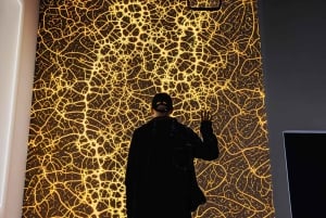 Signal Space Digital Art Gallery Skip the Line Ticket