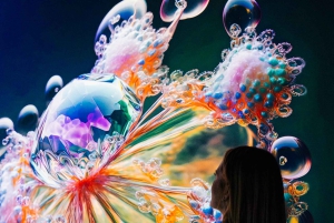 Signal Space Digital Art Gallery Skip the Line Ticket