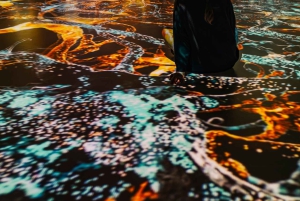 Signal Space Digital Art Gallery Skip the Line Ticket