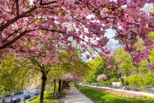 Skip køen-billet til Petrin-tårnet i Prag Privat tur med billetter