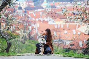 Skip køen-billet til Petrin-tårnet i Prag Privat tur med billetter