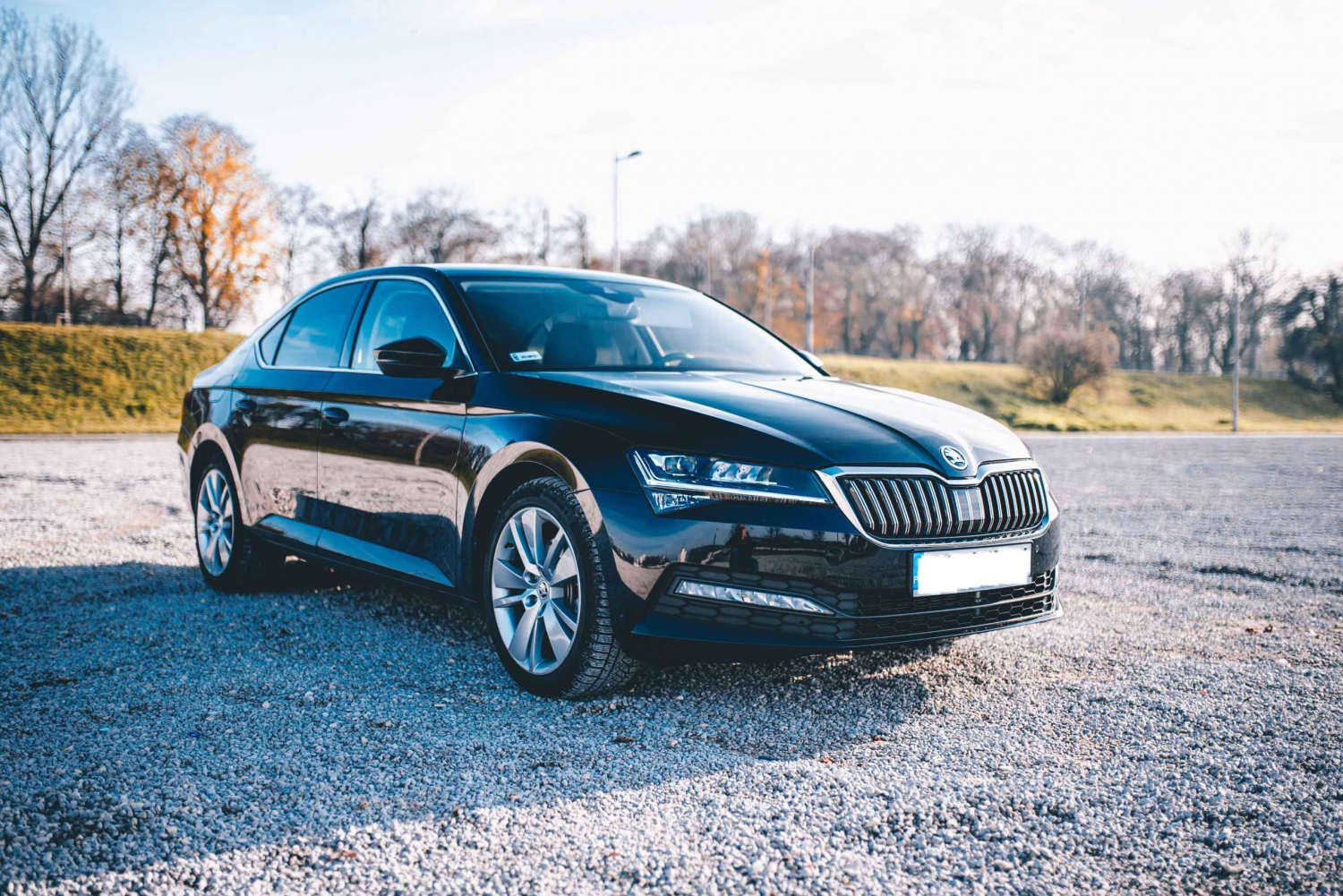 Taxi from/to airport with professional drivers