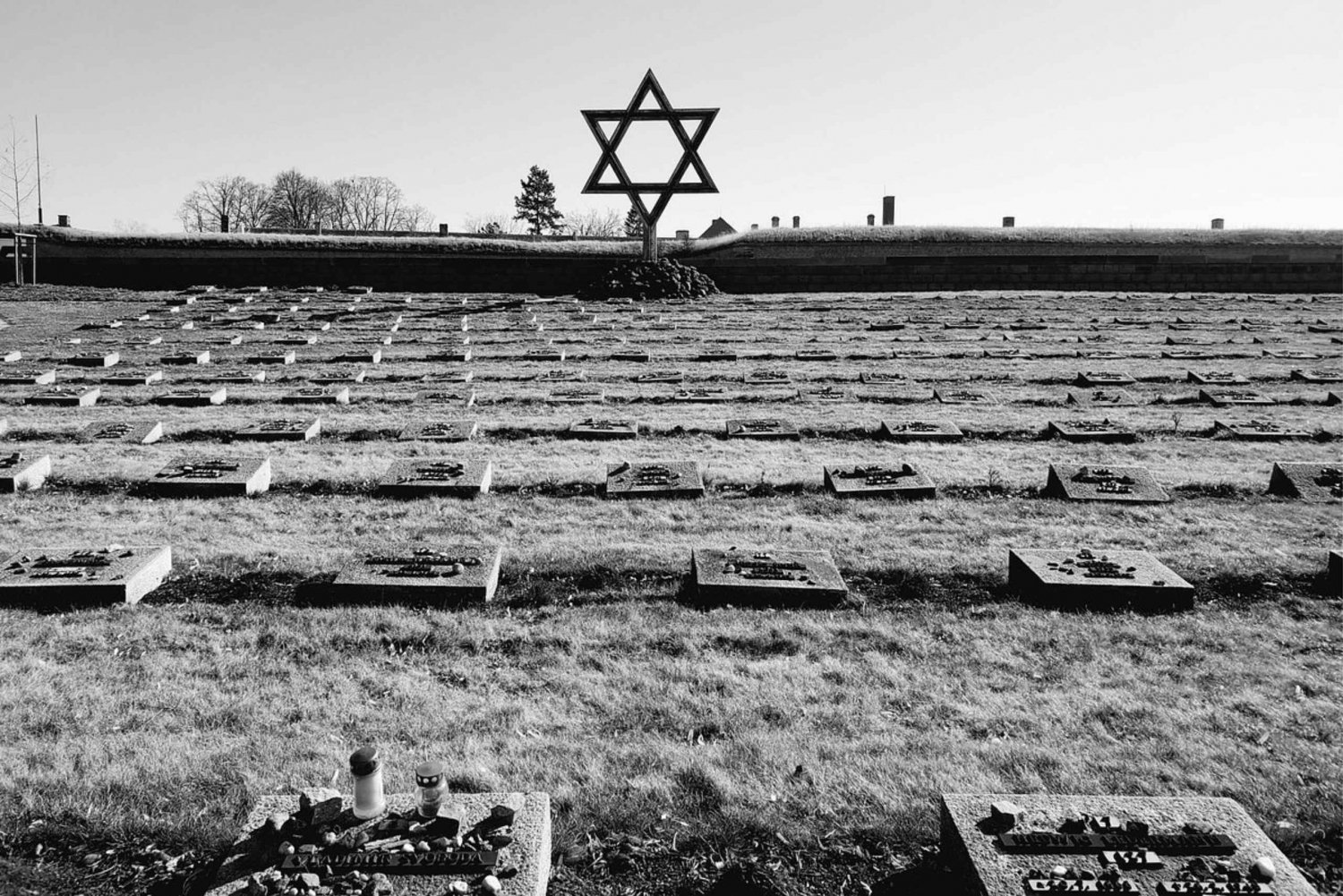 From Prague: Terezin Camp and Bohemian Switzerland Day Trip