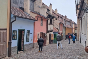 Prague: Tour to Prague Castle with tickets included. Spanish