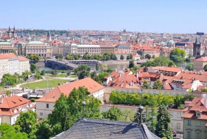 Prague: Tour to Prague Castle with tickets included. Spanish