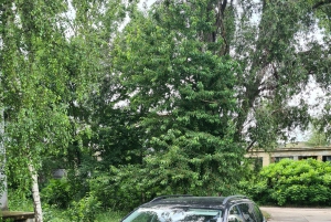 Vienna daytrip: Private transfer from Prague and back