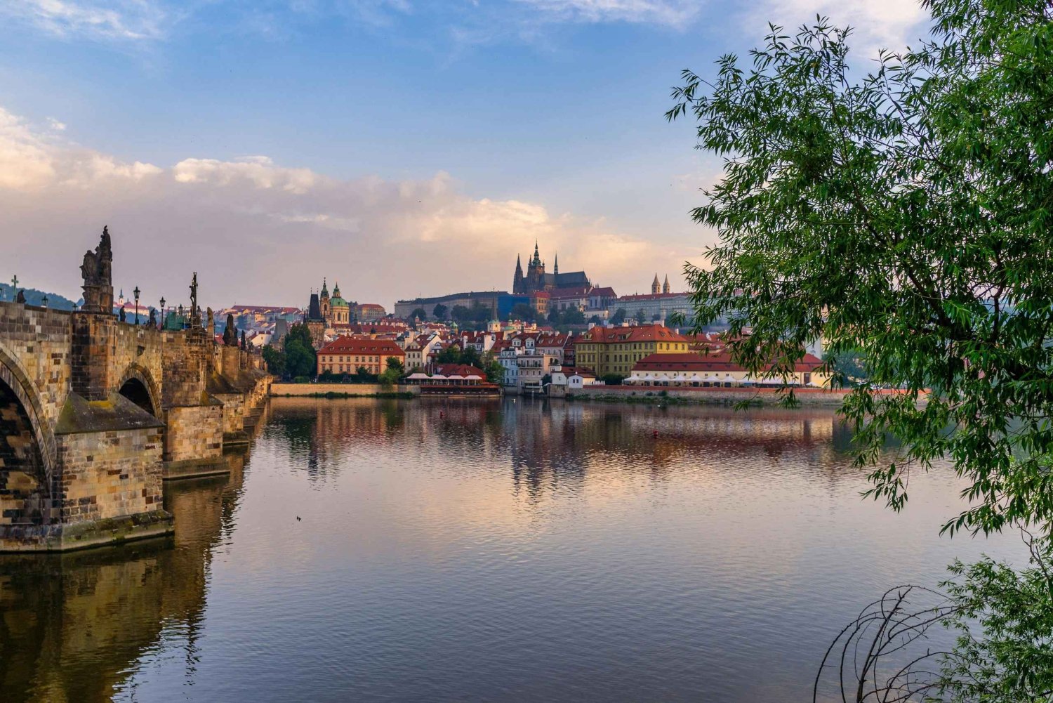 Vienna: Prague Guided Day Trip with Hotel Pickup