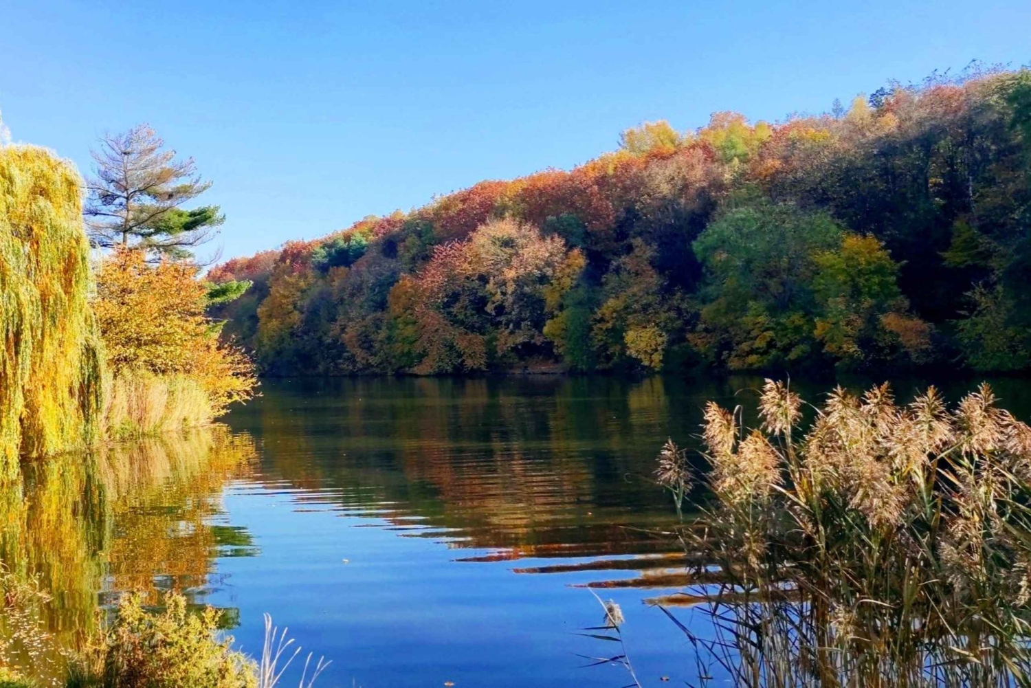 Walking tour of Prague in Russian