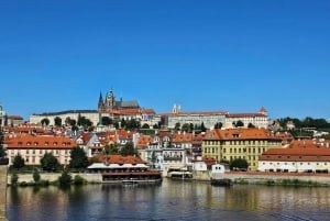 Guided walking tour Prague: include Prazskiy Castle