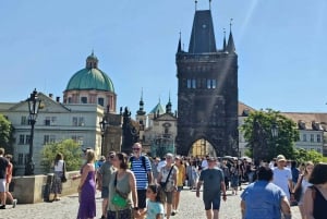 Guided walking tour Prague: include Prazskiy Castle