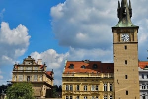 Guided walking tour Prague: include Prazskiy Castle