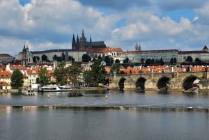 Guided walking tour Prague: include Prazskiy Castle