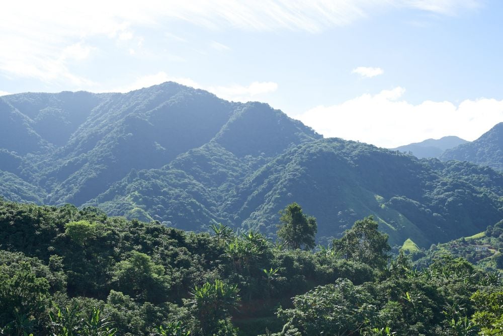 Mountains in Coffee Growing Region of Puerto Rico