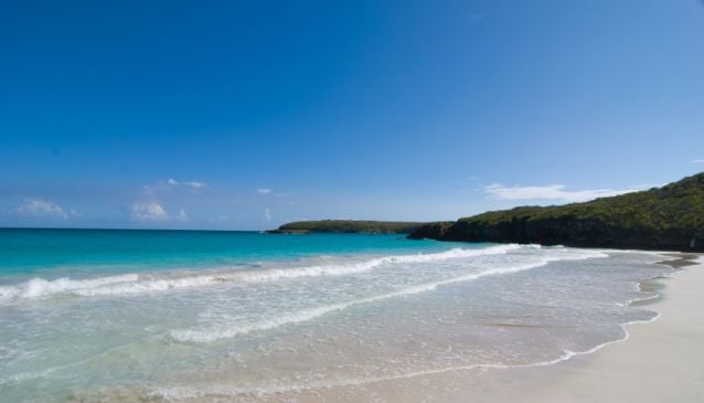 Vieques, Puerto Rico in 24 Hours