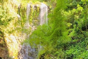 Adventure to a Hidden Waterfall, Private Tour