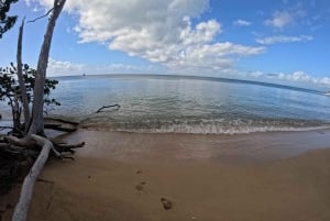 Vieque: Power Boat Turtle Snorkel and Beach Tour with Lunch