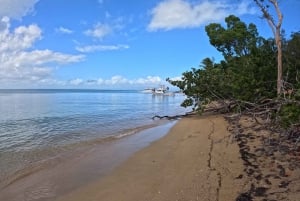 Spiaggia di Vieques con barca a motore, tartaruga marina, giochi d'acqua e snorkeling