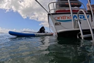 Vieques motorbåtstrand, havskilpadde, vannleker og snorkling