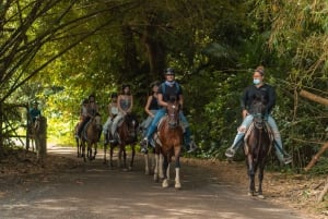 Carabalín sademetsäpuisto: Rainforest-ratsastusretki