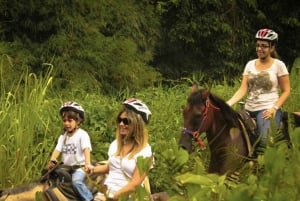 Parc de la forêt tropicale de Carabalí : balade à cheval dans la forêt tropicale